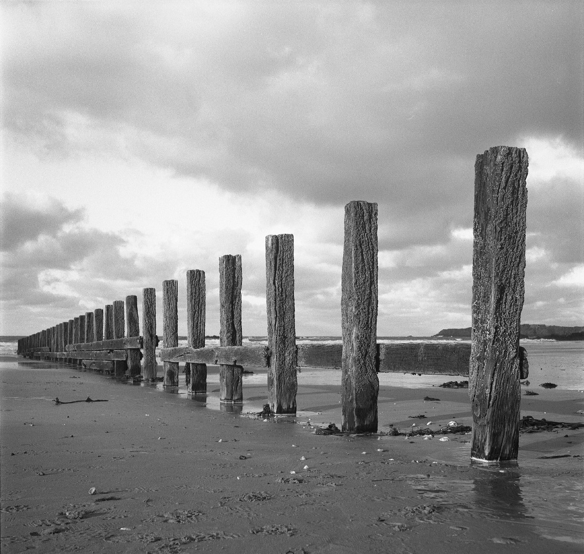 Scansion, photographie argentique noir et blanc de pieux sur l’estran